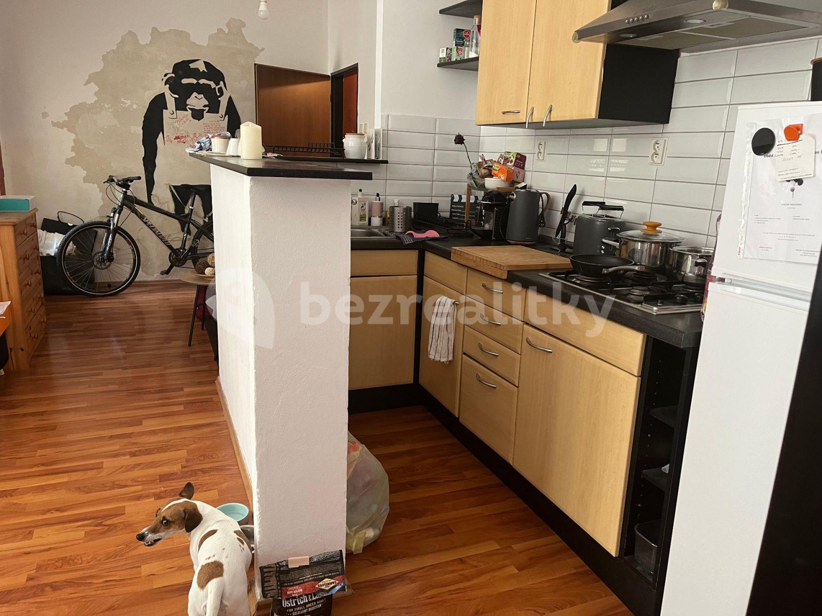 1 bedroom with open-plan kitchen flat for sale, 53 m², Malířská, Prague, Prague