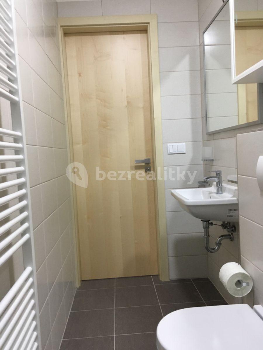 1 bedroom with open-plan kitchen flat to rent, 58 m², U Statku, Hýskov, Středočeský Region