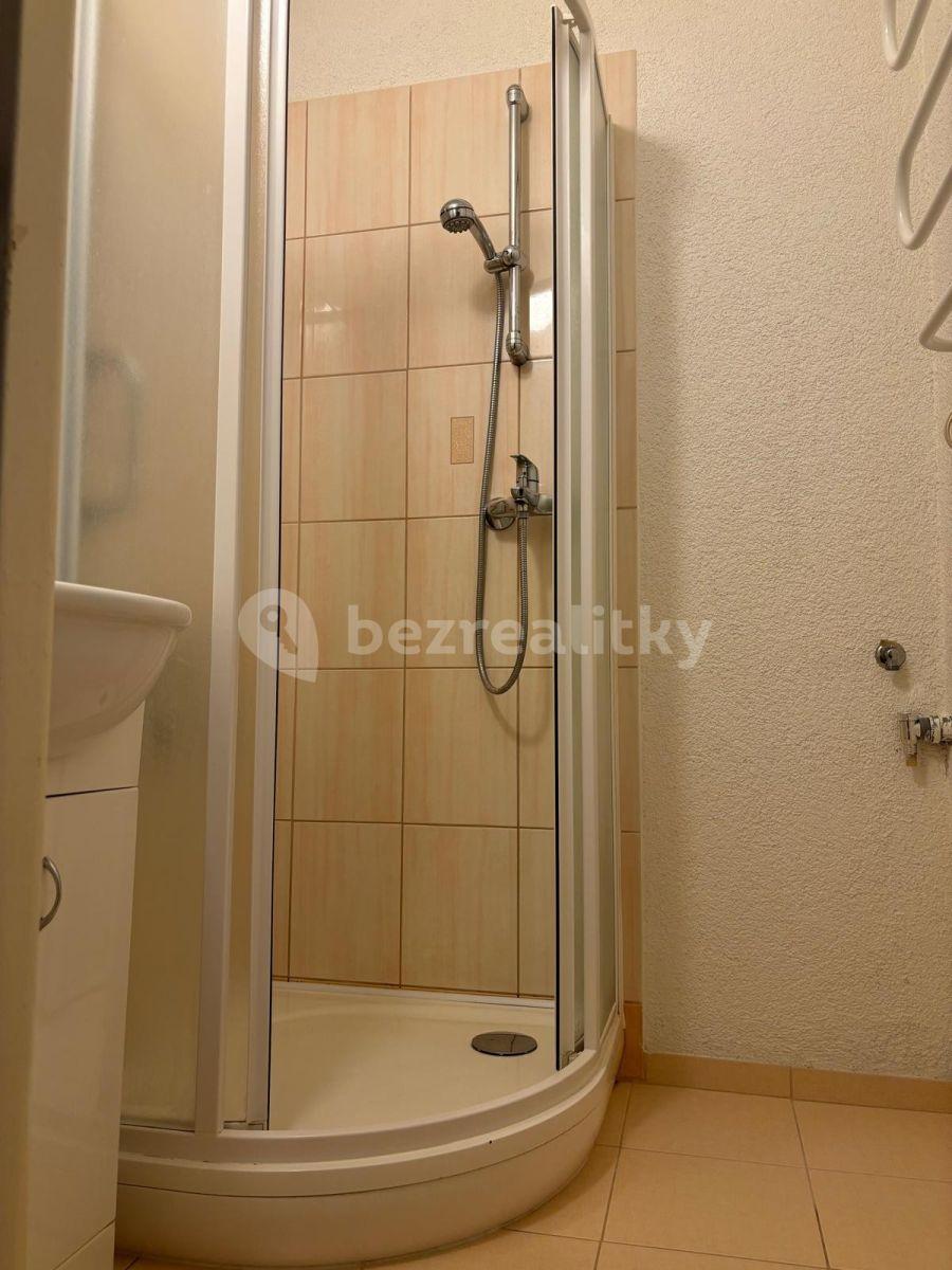 2 bedroom with open-plan kitchen flat for sale, 65 m², Na Klášterním, Prague, Prague