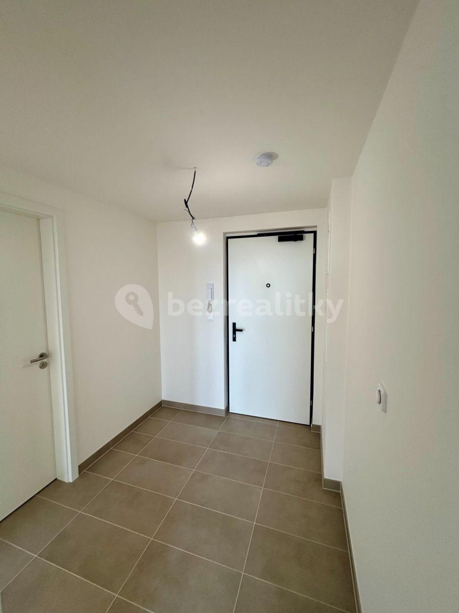 1 bedroom with open-plan kitchen flat to rent, 50 m², Zimova, Prague, Prague