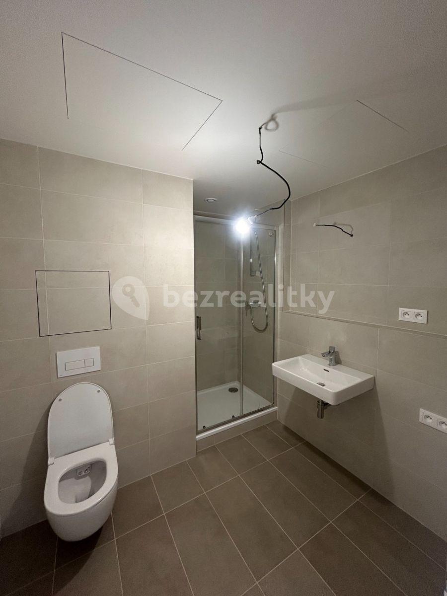 1 bedroom with open-plan kitchen flat to rent, 50 m², Zimova, Prague, Prague