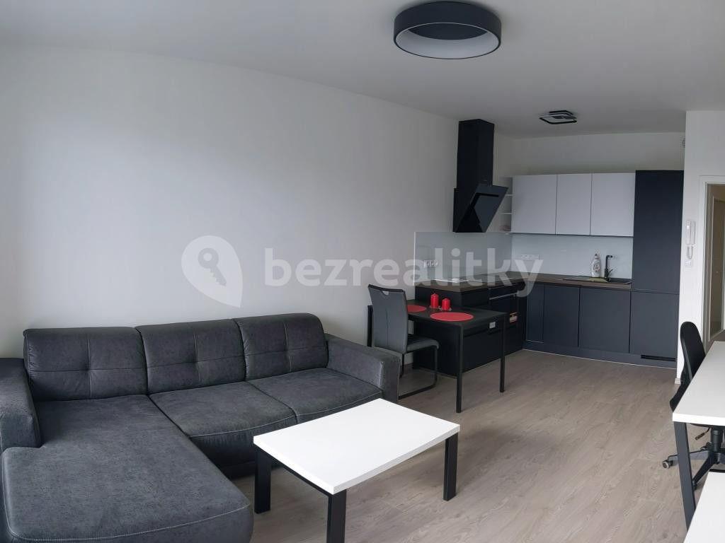 1 bedroom with open-plan kitchen flat to rent, 50 m², Plotní, Brno, Jihomoravský Region