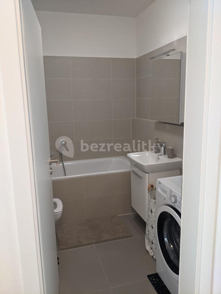 1 bedroom with open-plan kitchen flat to rent, 50 m², Plotní, Brno, Jihomoravský Region