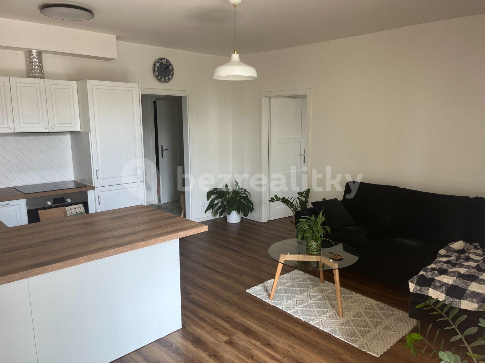 1 bedroom with open-plan kitchen flat to rent, 46 m², Ohradní, Kamenice, Středočeský Region