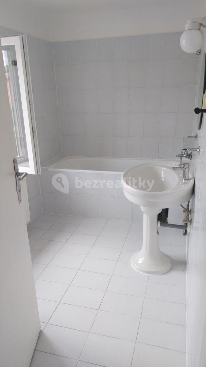 2 bedroom with open-plan kitchen flat to rent, 110 m², U Lesa, Prague, Prague