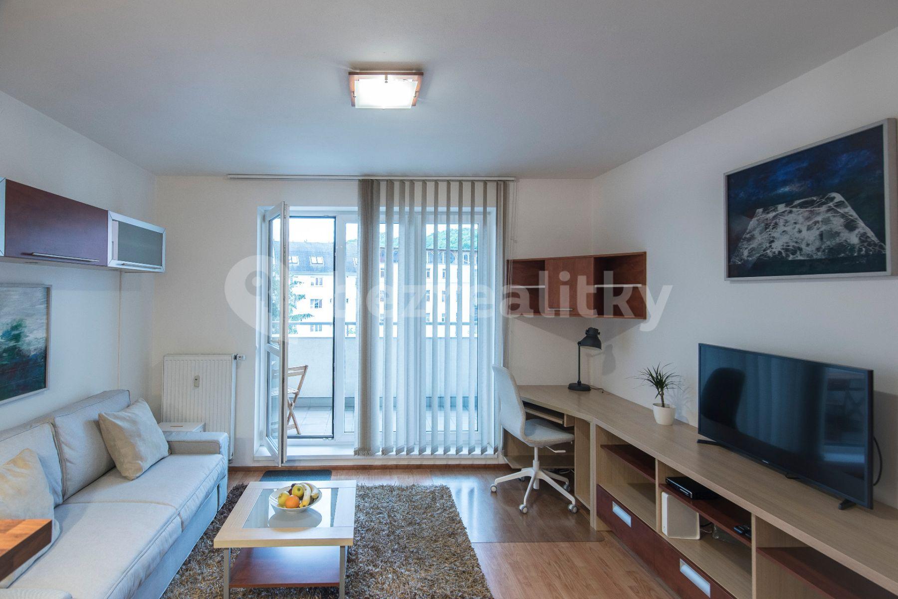 1 bedroom with open-plan kitchen flat to rent, 46 m², Plzeňská, Prague, Prague