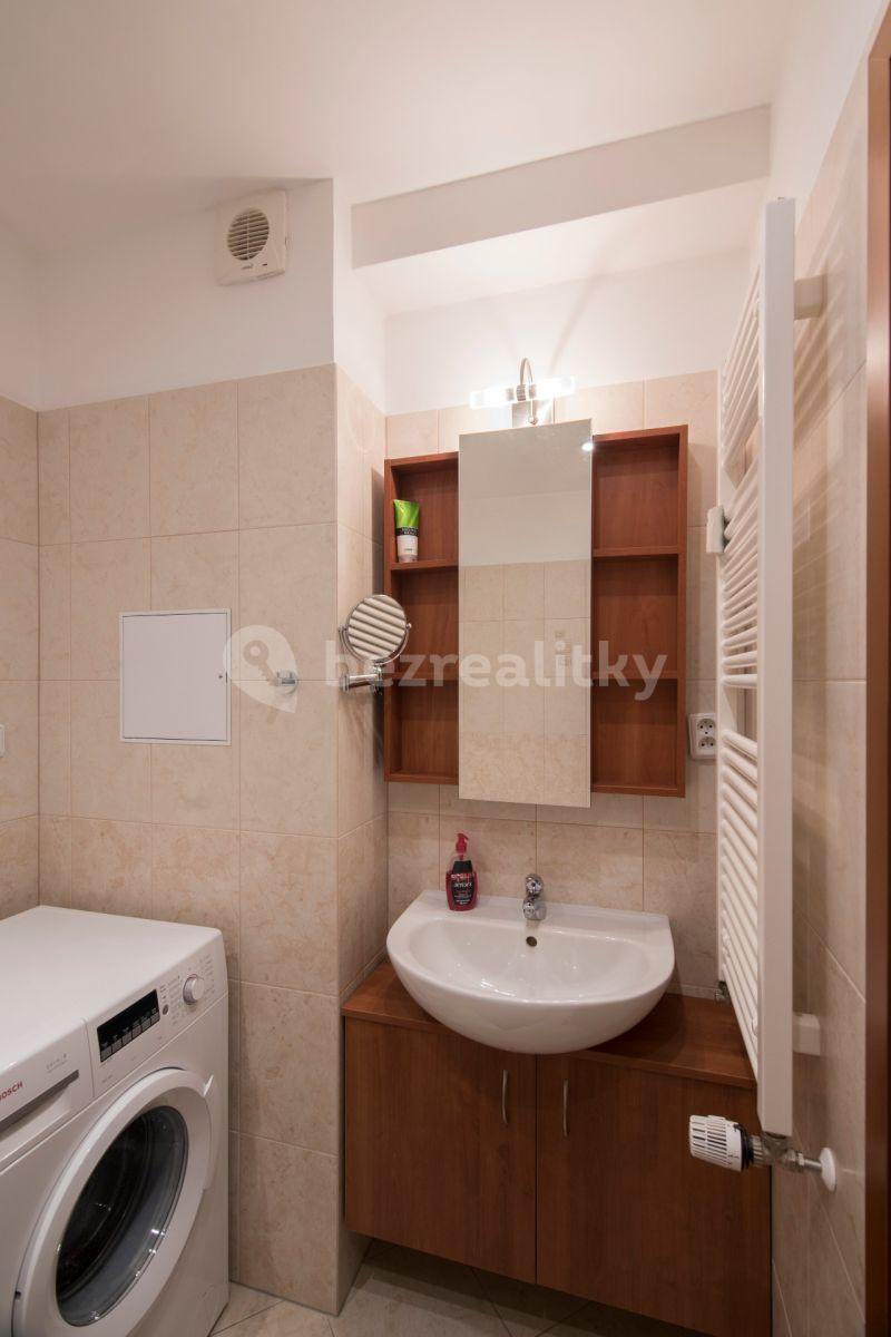 1 bedroom with open-plan kitchen flat to rent, 46 m², Plzeňská, Prague, Prague