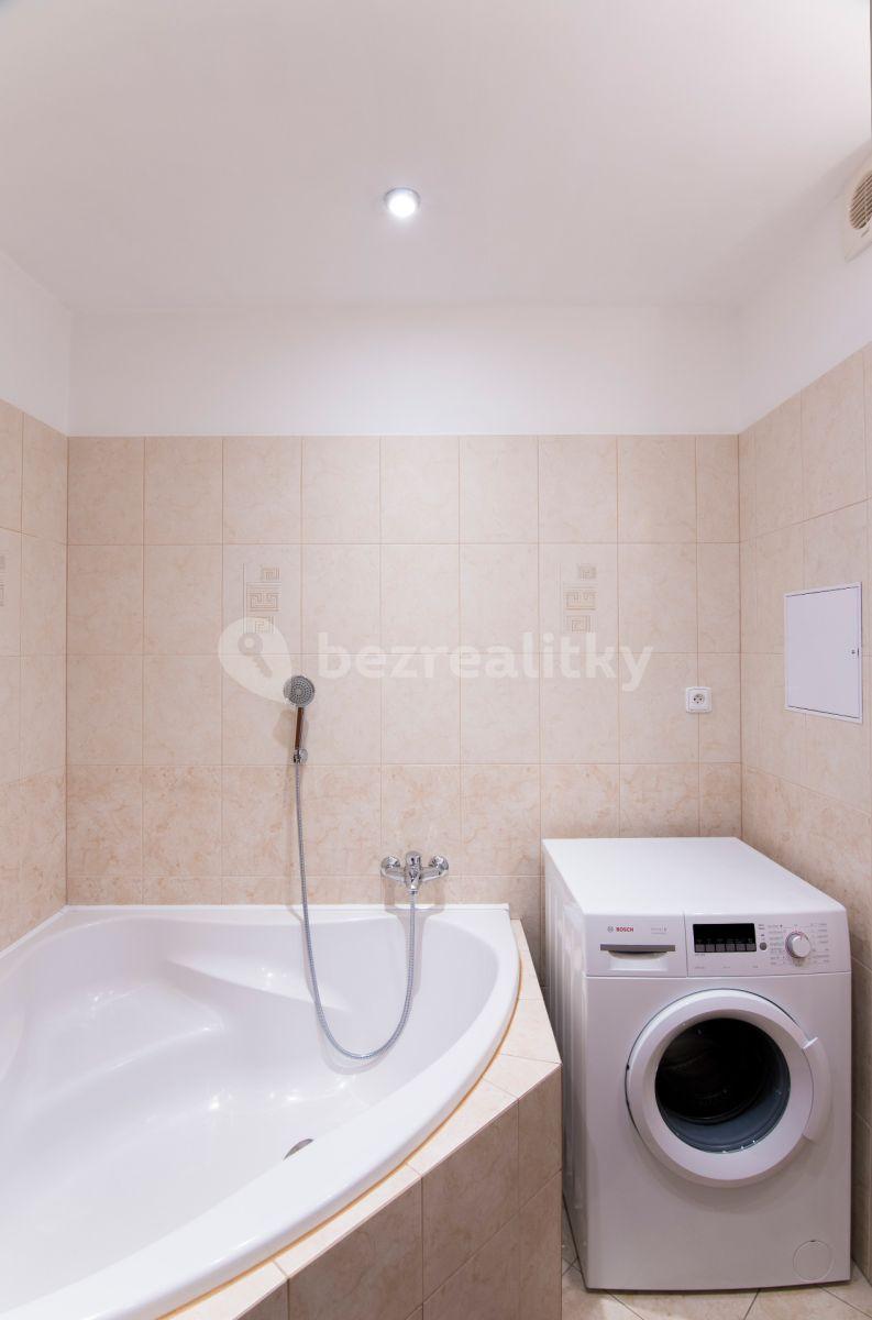 1 bedroom with open-plan kitchen flat to rent, 46 m², Plzeňská, Prague, Prague