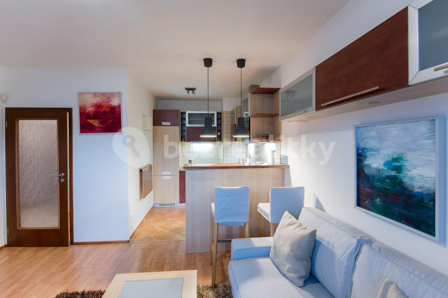 1 bedroom with open-plan kitchen flat to rent, 46 m², Plzeňská, Prague, Prague