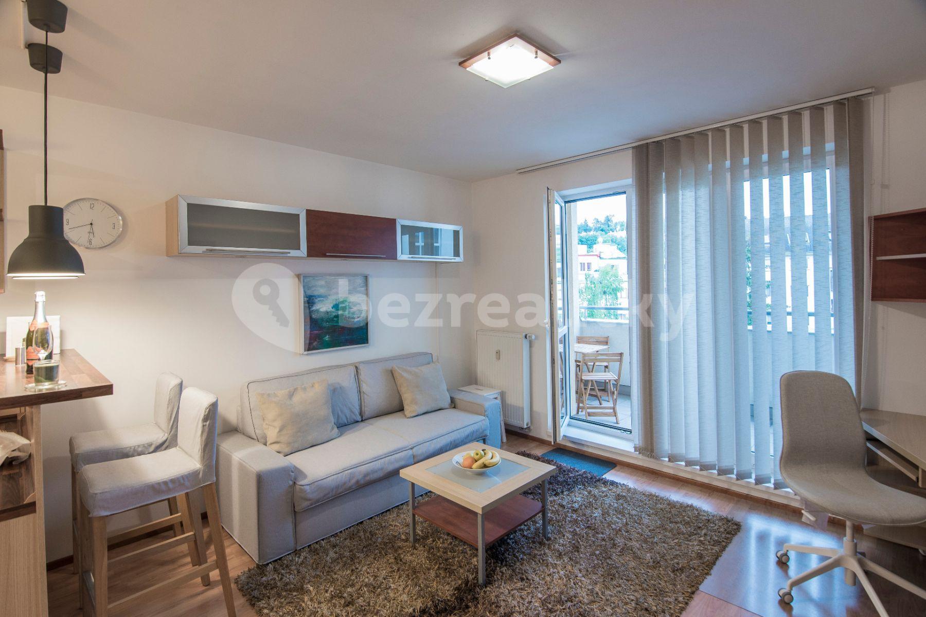 1 bedroom with open-plan kitchen flat to rent, 46 m², Plzeňská, Prague, Prague