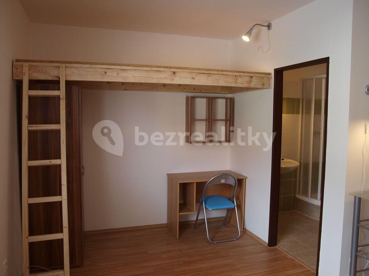 Studio flat to rent, 25 m², Ořechová, Rebešovice, Jihomoravský Region