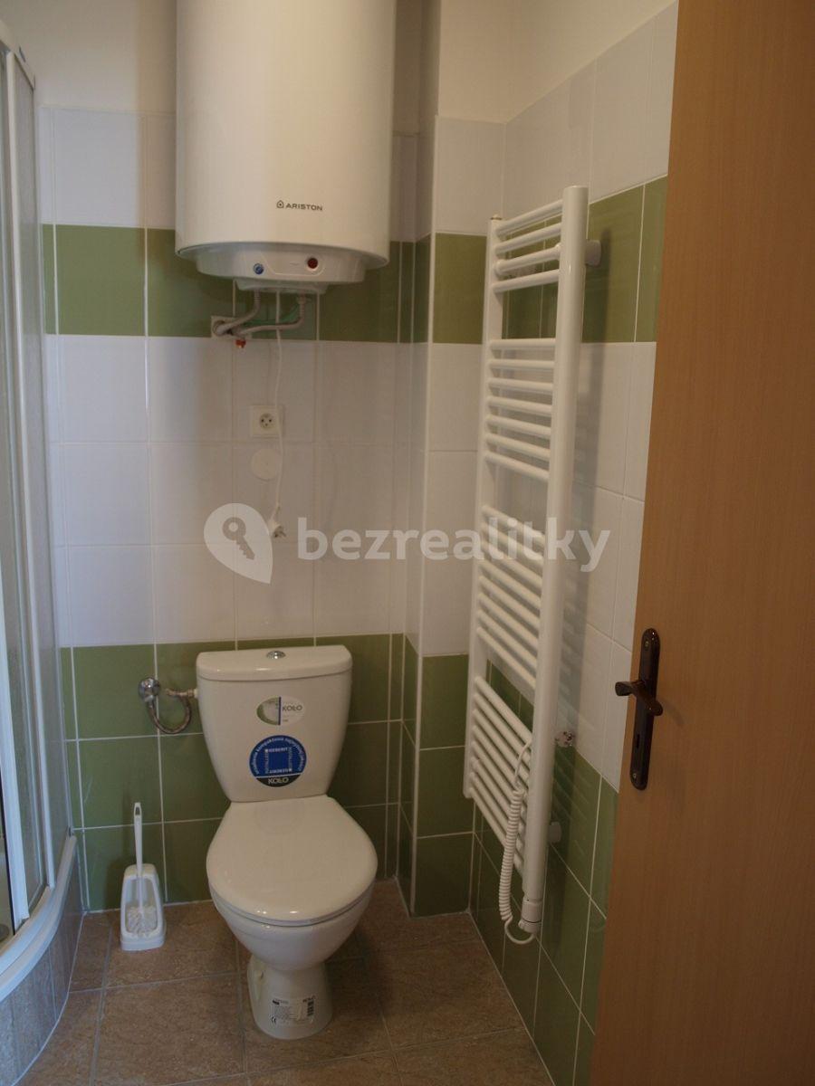 Studio flat to rent, 25 m², Ořechová, Rebešovice, Jihomoravský Region