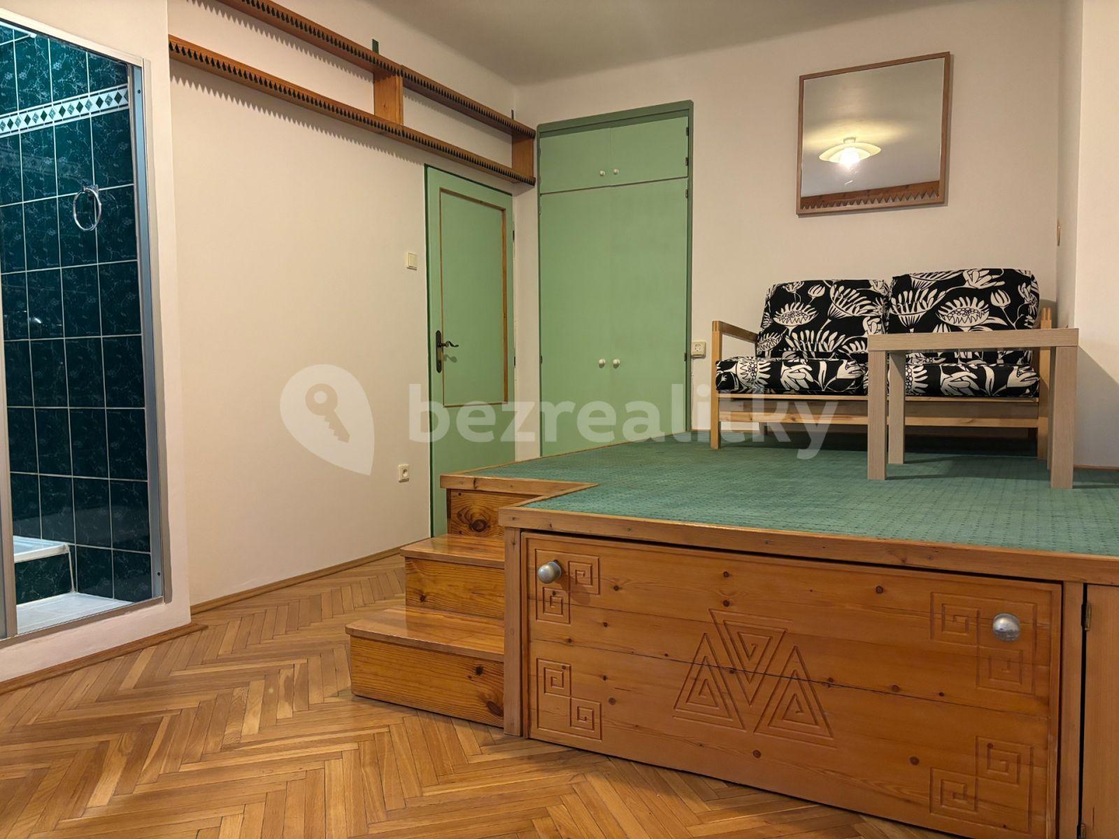 Small studio flat to rent, 21 m², U Slavie, Prague, Prague