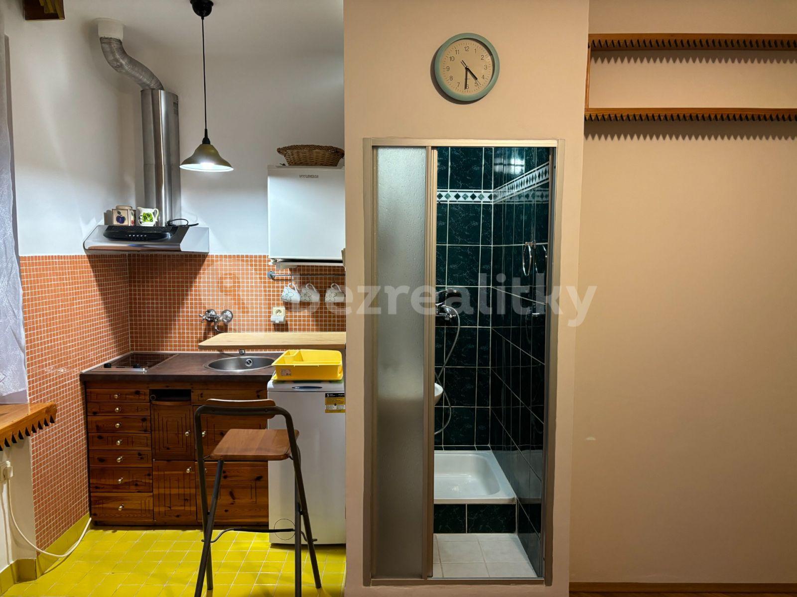 Small studio flat to rent, 21 m², U Slavie, Prague, Prague