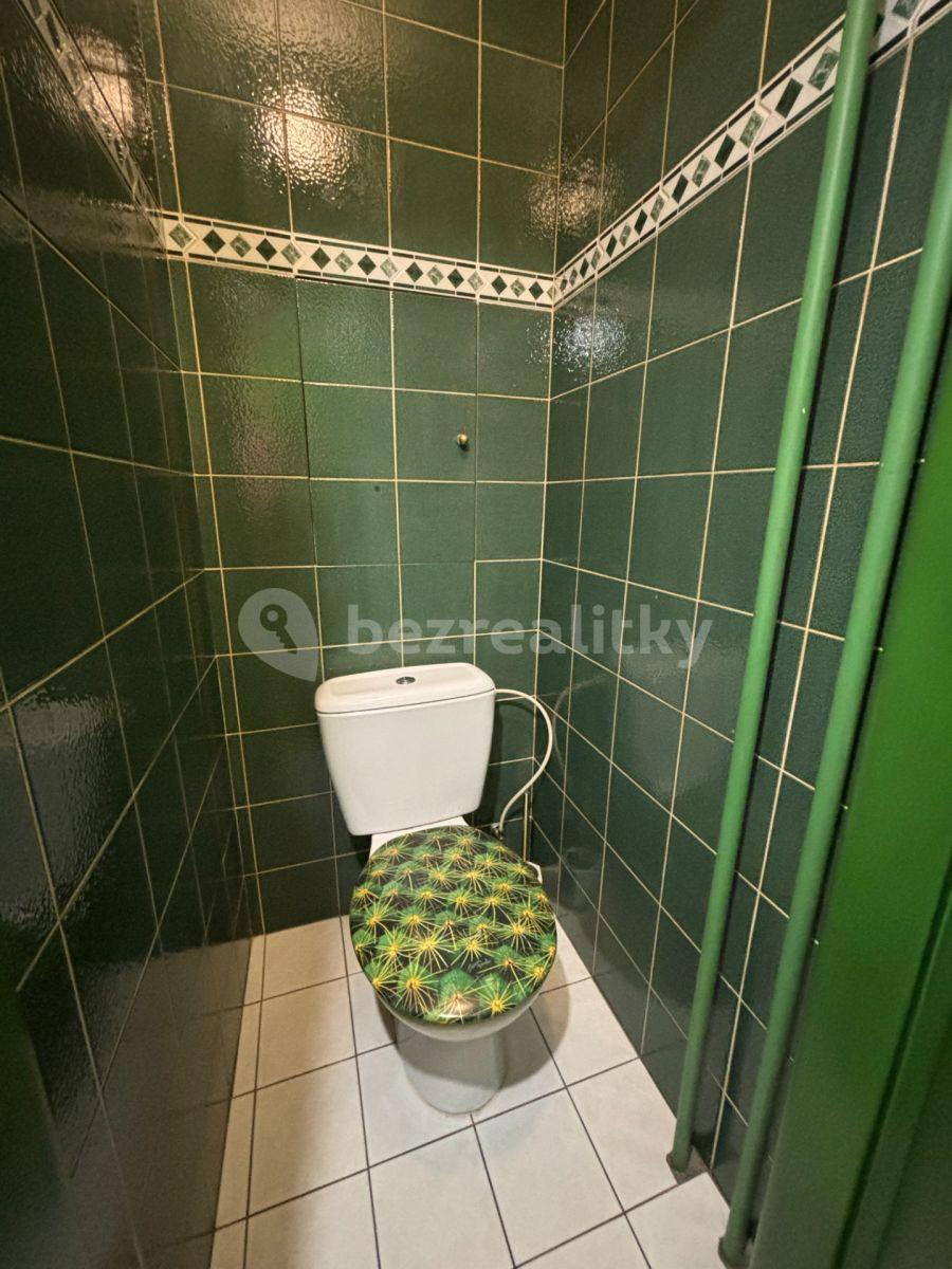 Small studio flat to rent, 21 m², U Slavie, Prague, Prague