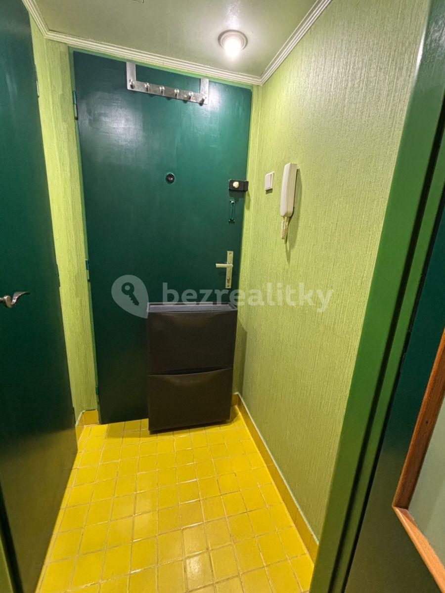 Small studio flat to rent, 21 m², U Slavie, Prague, Prague