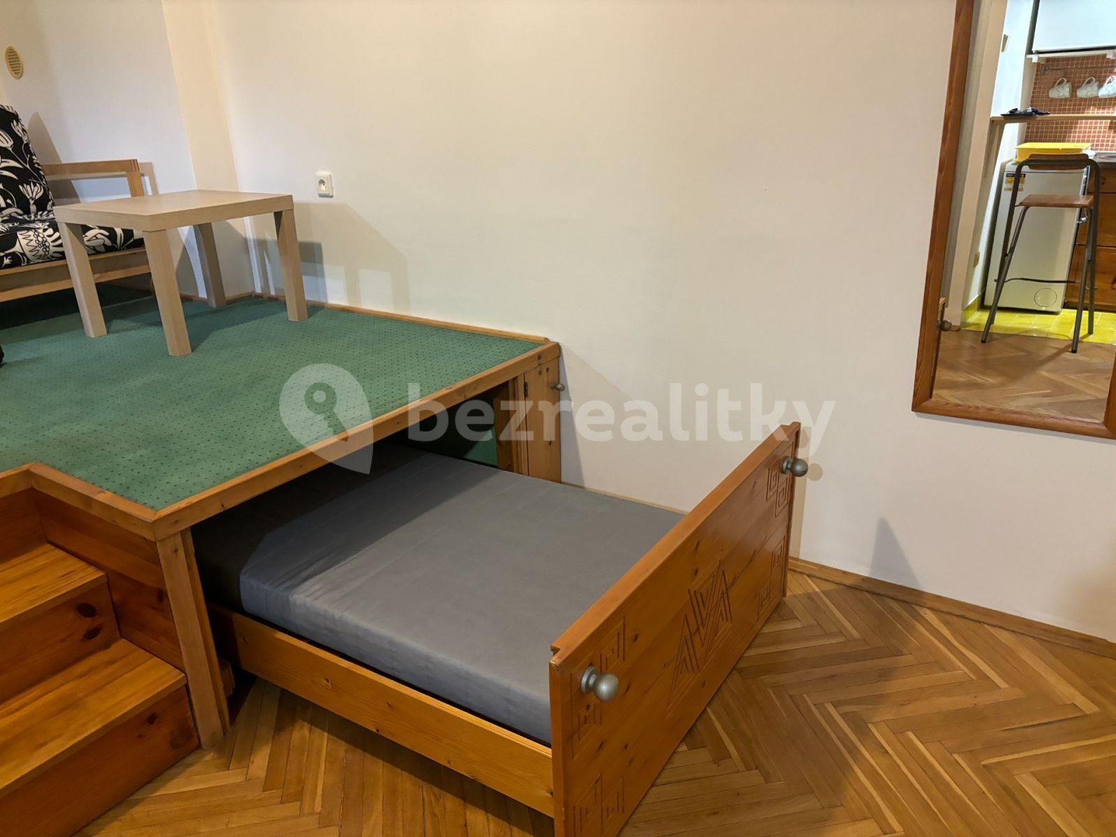 Small studio flat to rent, 21 m², U Slavie, Prague, Prague