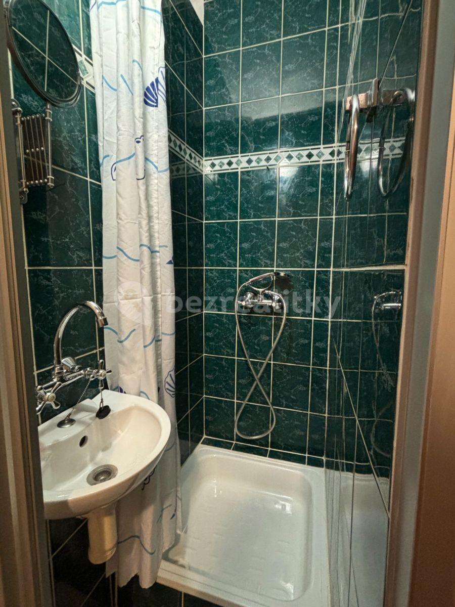 Small studio flat to rent, 21 m², U Slavie, Prague, Prague