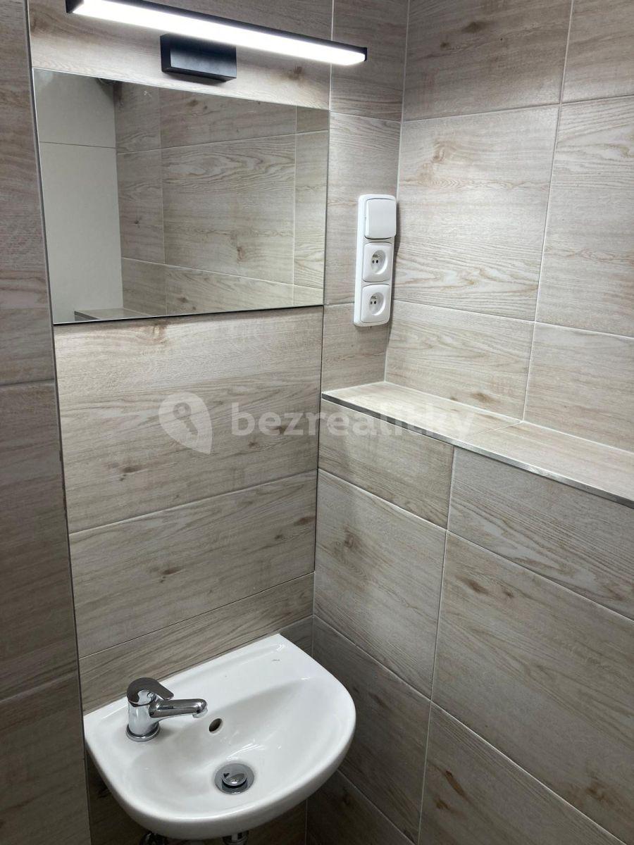 Studio flat to rent, 18 m², Generála Janouška, Prague, Prague