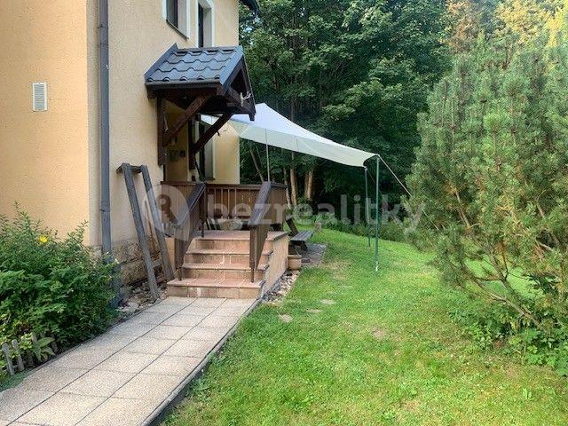 Studio flat to rent, 36 m², Rokytnice nad Jizerou, Liberecký Region