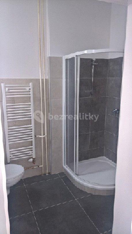 2 bedroom flat to rent, 65 m², sady 5. května, Plzeň, Plzeňský Region