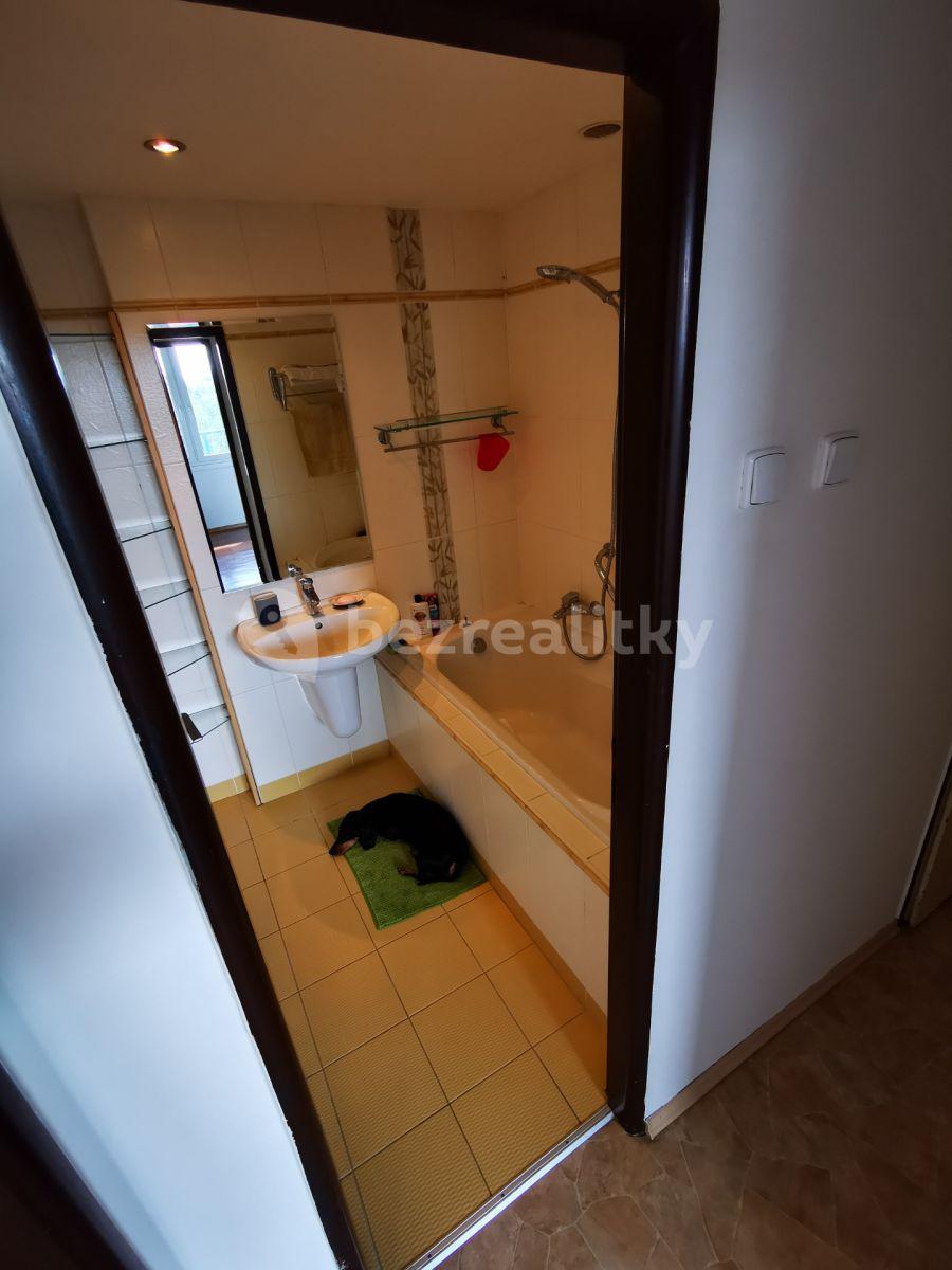 2 bedroom with open-plan kitchen flat to rent, 77 m², Slancova, Prague, Prague