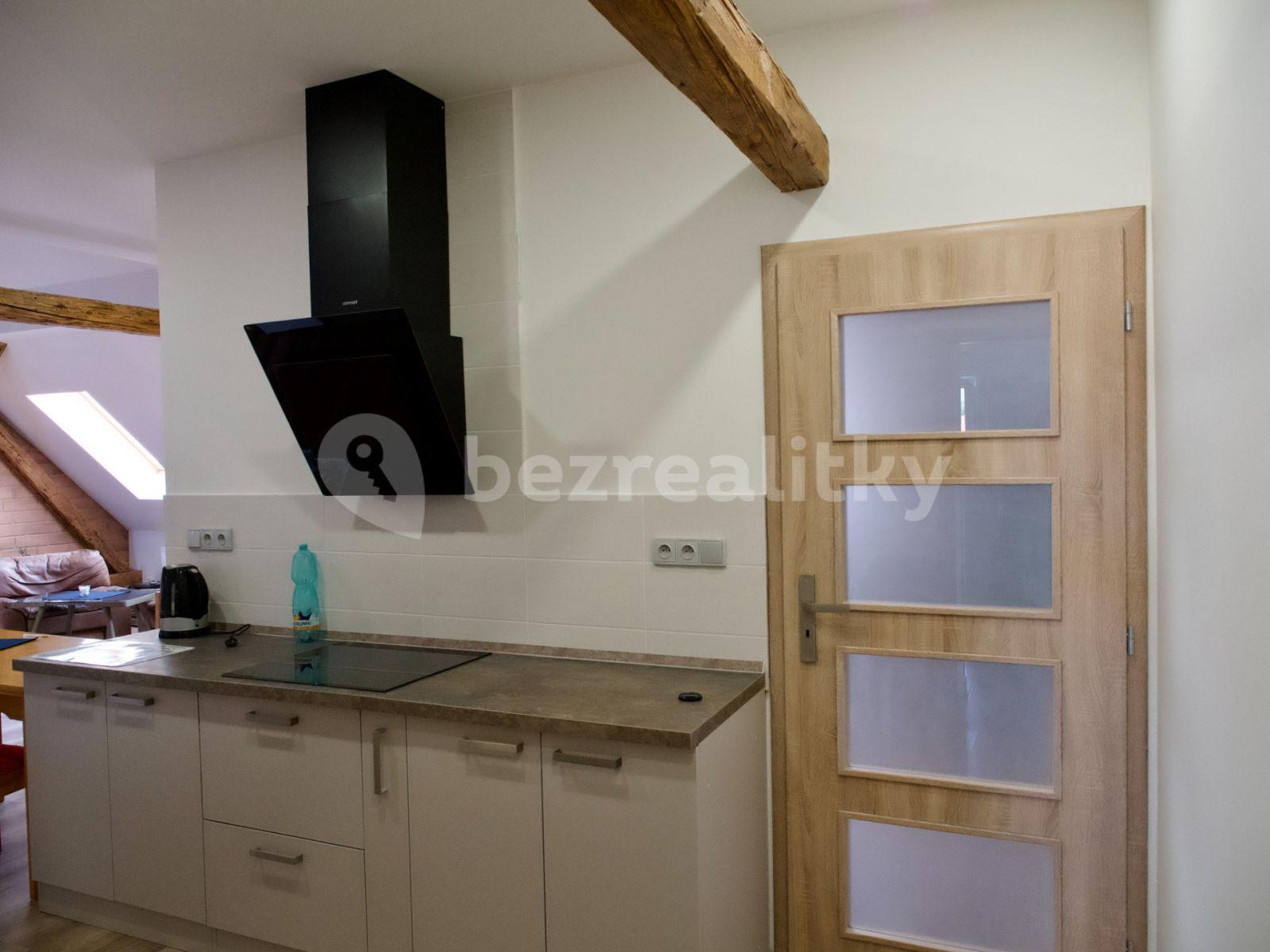 2 bedroom with open-plan kitchen flat to rent, 80 m², Purkyňova, Brno, Jihomoravský Region