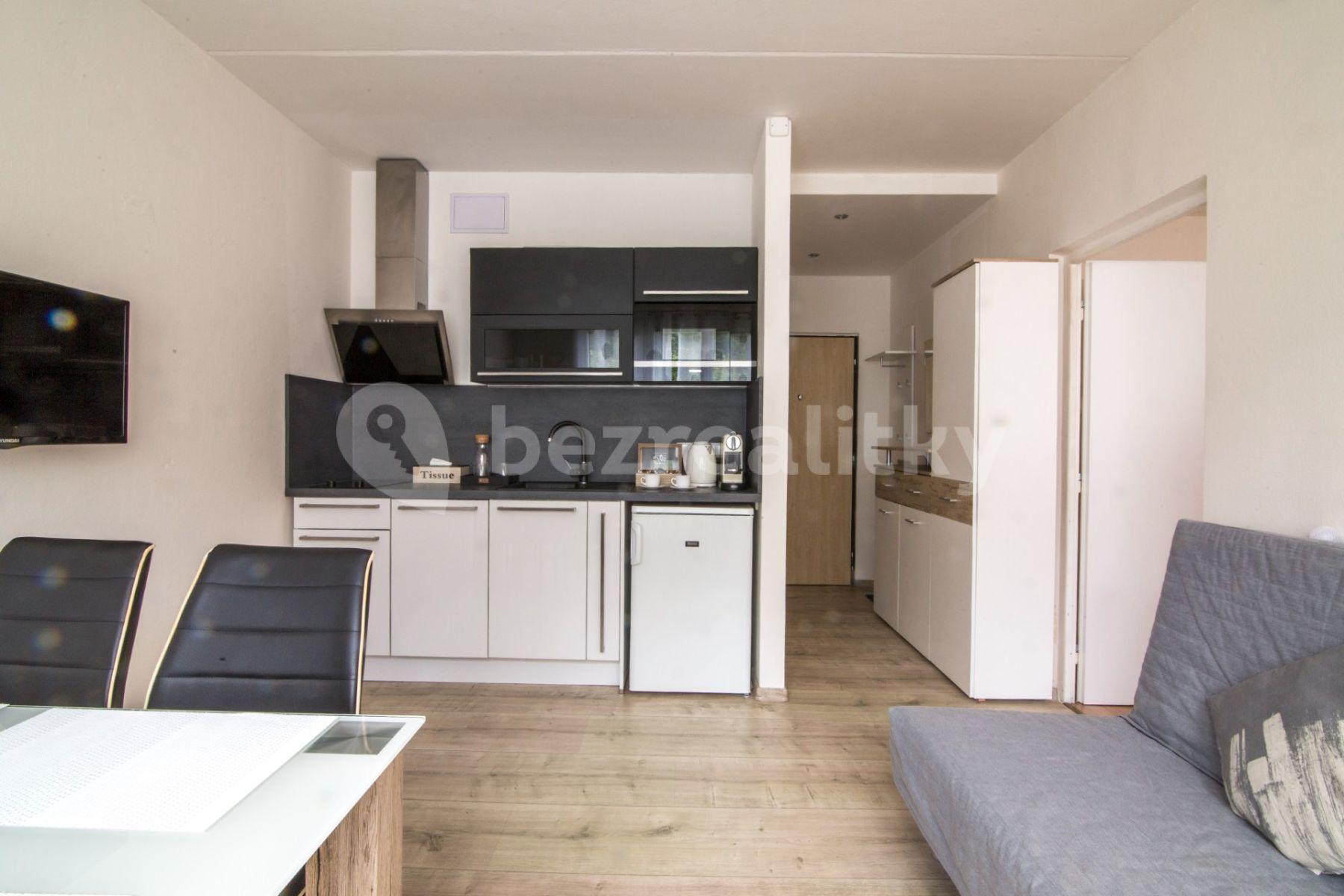 1 bedroom with open-plan kitchen flat for sale, 35 m², třída Dukelských hrdinů, Jáchymov, Karlovarský Region