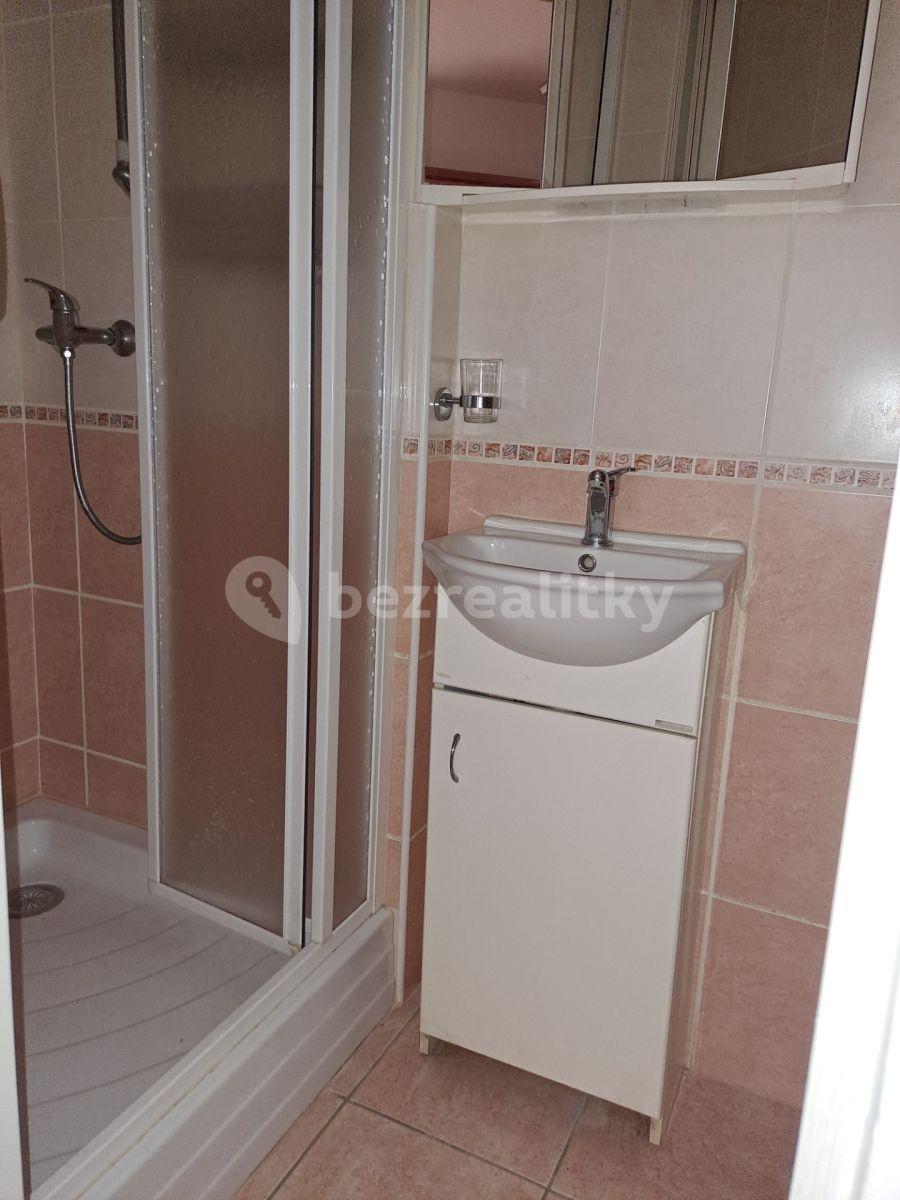 1 bedroom with open-plan kitchen flat to rent, 41 m², Jana Švermy, Benešov, Středočeský Region