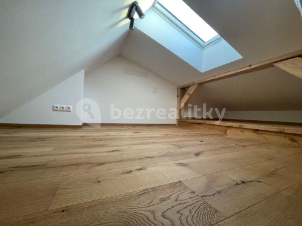 1 bedroom with open-plan kitchen flat to rent, 60 m², B. Němcové, České Budějovice, Jihočeský Region