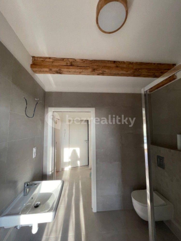 1 bedroom with open-plan kitchen flat to rent, 60 m², B. Němcové, České Budějovice, Jihočeský Region