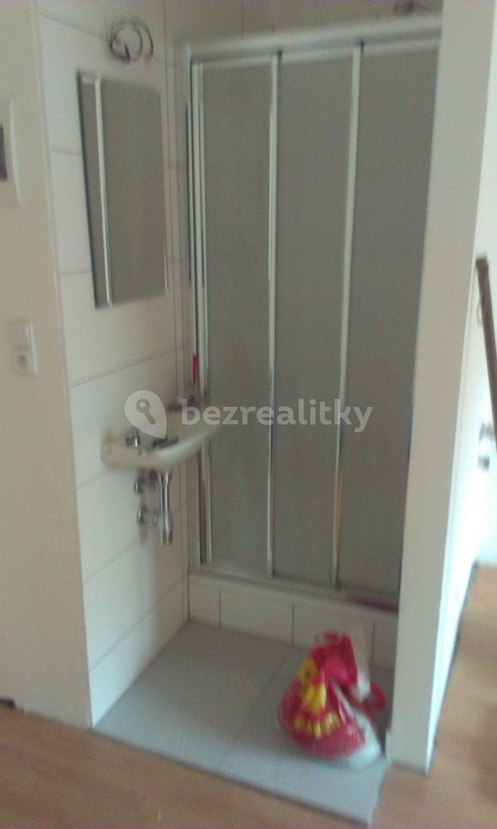 Studio flat to rent, 20 m², Dělnická, Prague, Prague