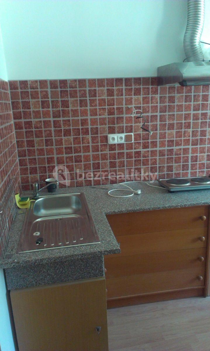 Studio flat to rent, 20 m², Dělnická, Prague, Prague