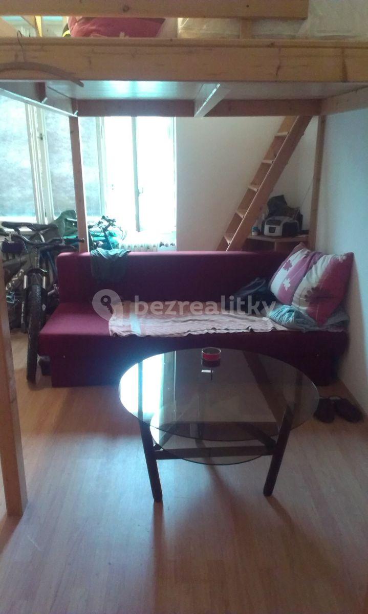 Studio flat to rent, 20 m², Dělnická, Prague, Prague