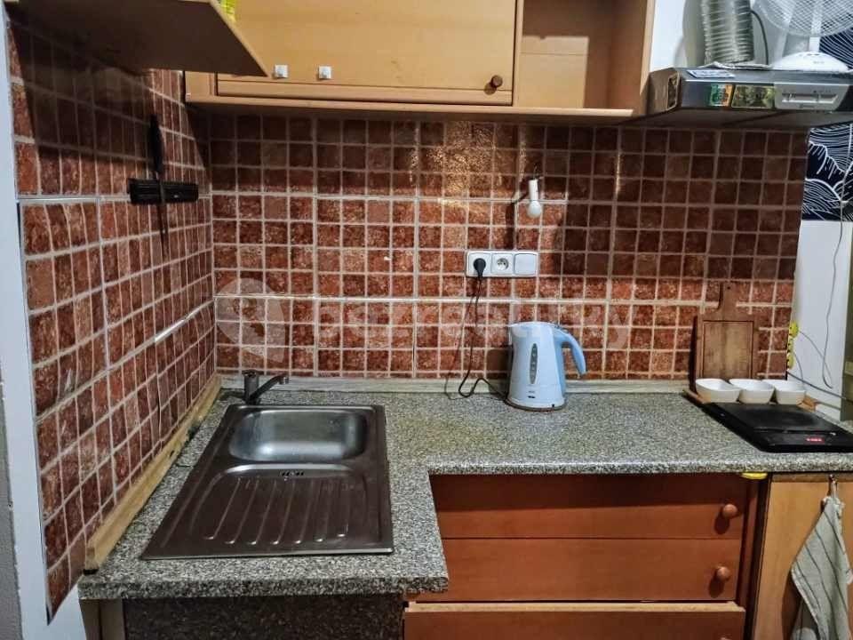 Studio flat to rent, 20 m², Dělnická, Prague, Prague