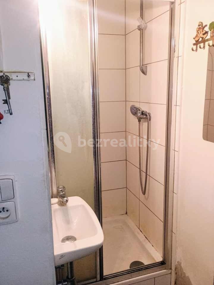 Studio flat to rent, 20 m², Dělnická, Prague, Prague