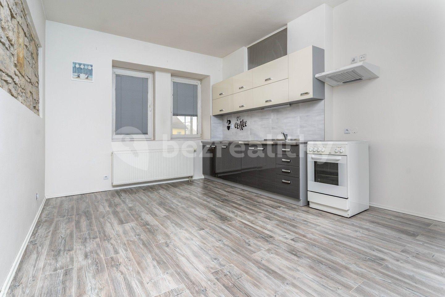 1 bedroom with open-plan kitchen flat to rent, 40 m², V háji, Hřebeč, Středočeský Region