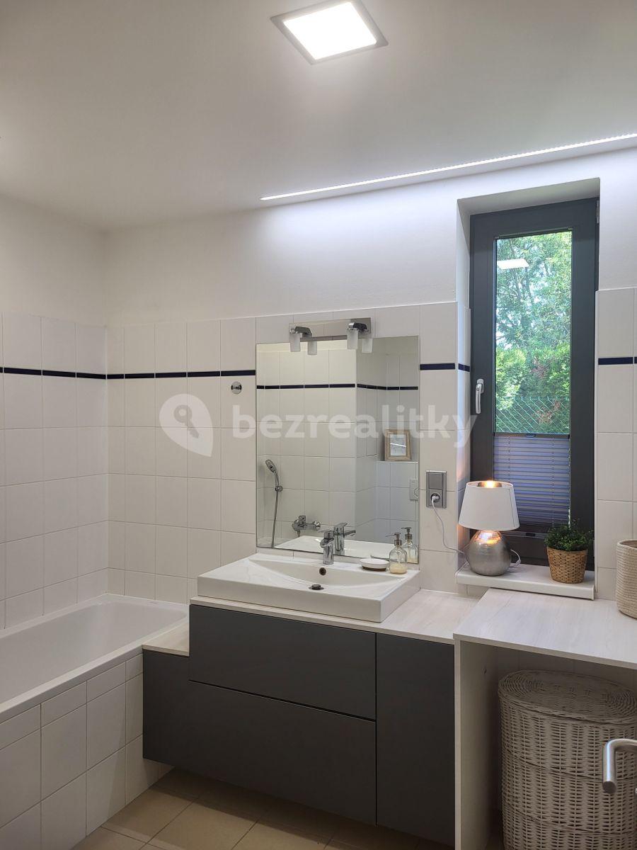 1 bedroom with open-plan kitchen flat to rent, 54 m², V Sedlci b, Prague, Prague