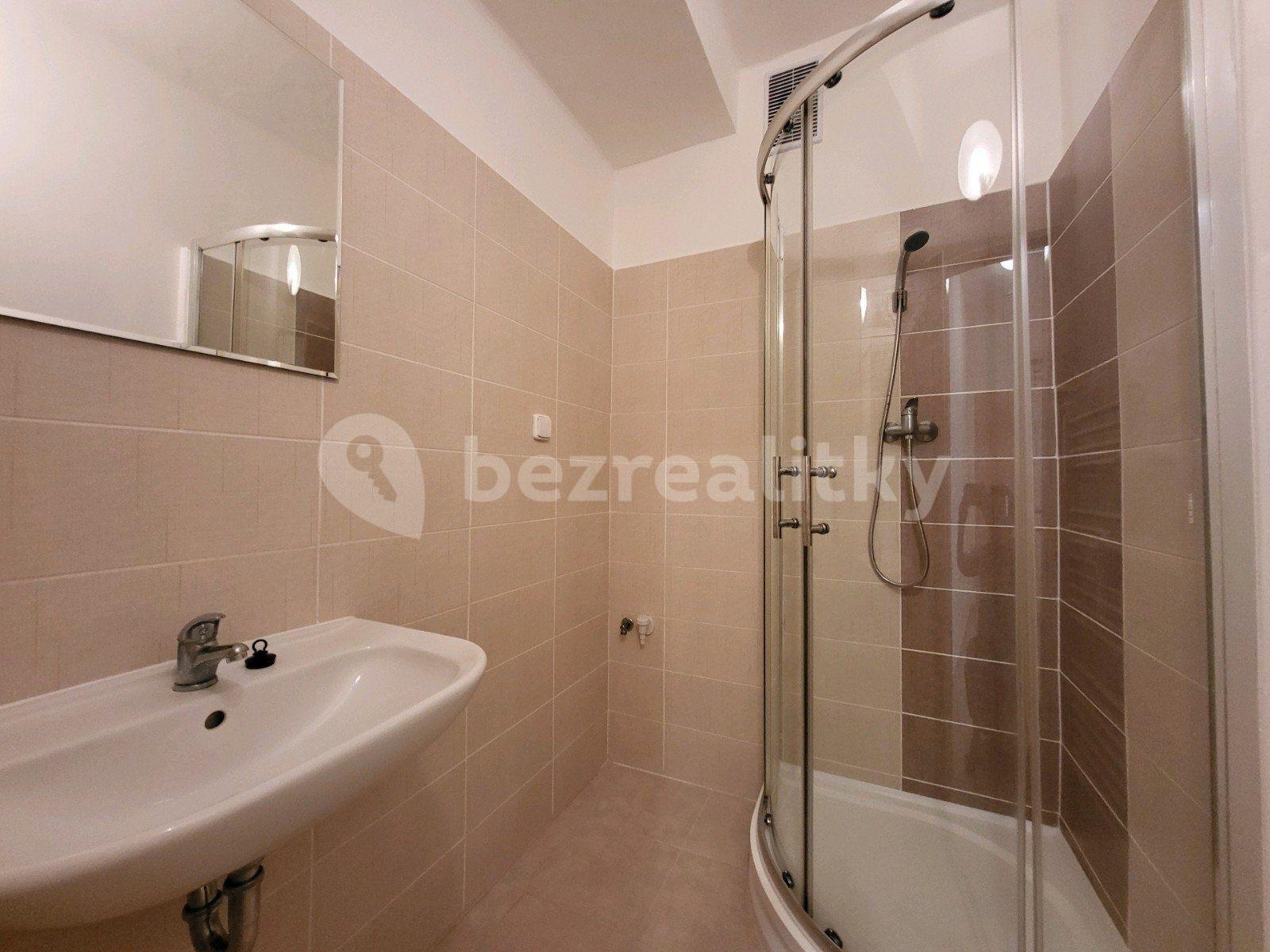 Studio flat to rent, 31 m², U Stromovky, Havířov, Moravskoslezský Region