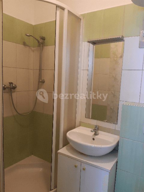 Studio flat to rent, 40 m², Lipenská, České Budějovice, Jihočeský Region