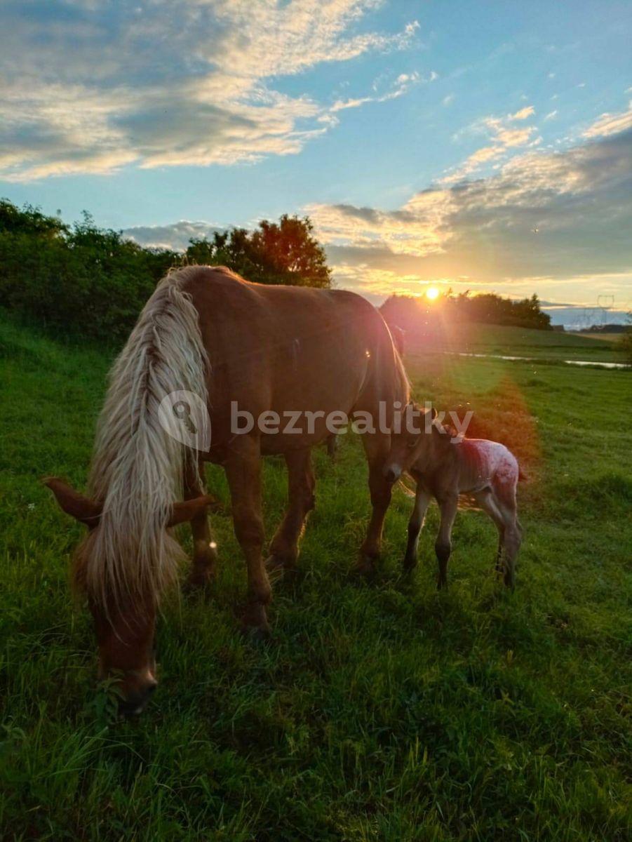 recreational property to rent, 0 m², Staré Sedlo, Plzeňský Region