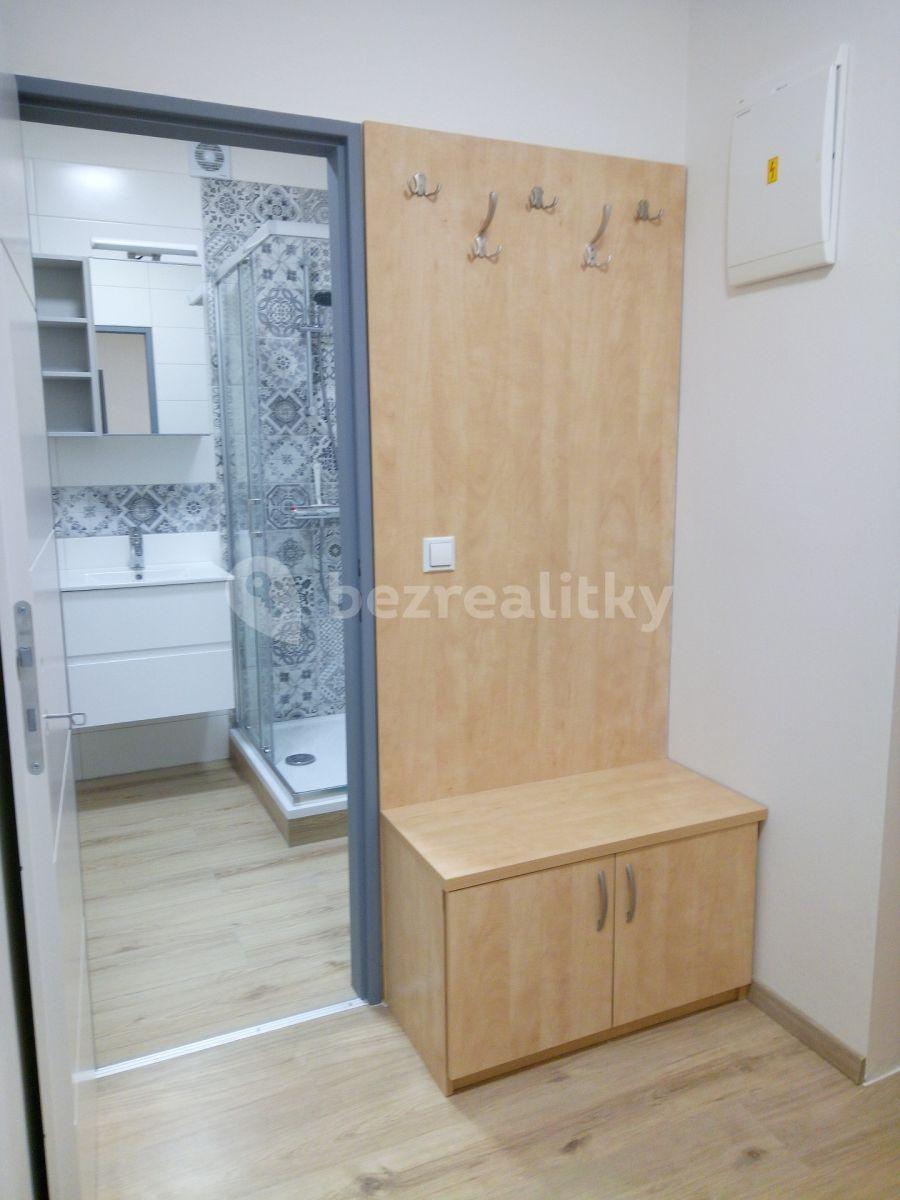 1 bedroom with open-plan kitchen flat to rent, 49 m², Březnická, Zlín, Zlínský Region