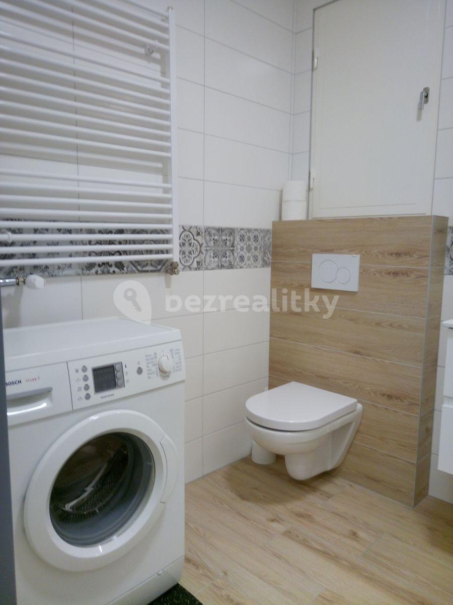 1 bedroom with open-plan kitchen flat to rent, 49 m², Březnická, Zlín, Zlínský Region