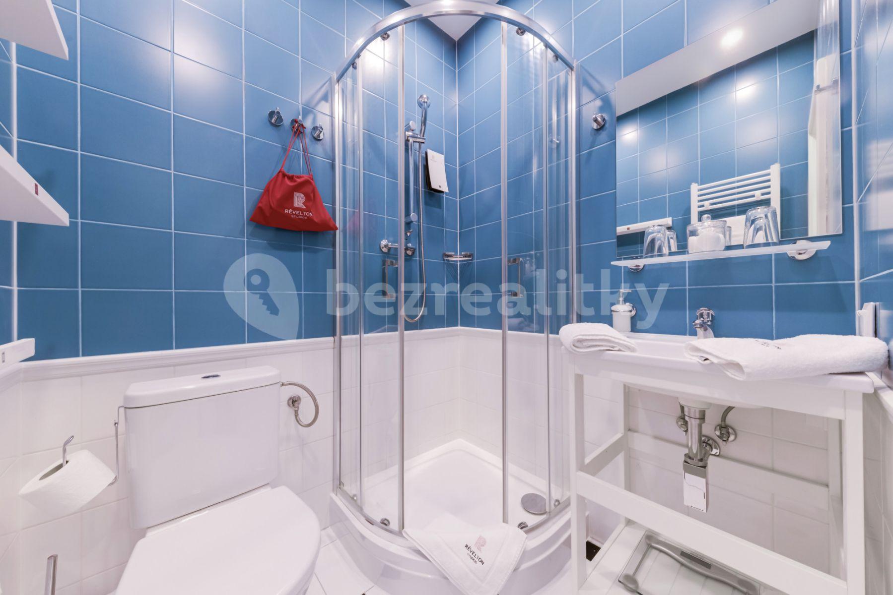 Studio flat to rent, 20 m², Nuselská, Prague, Prague