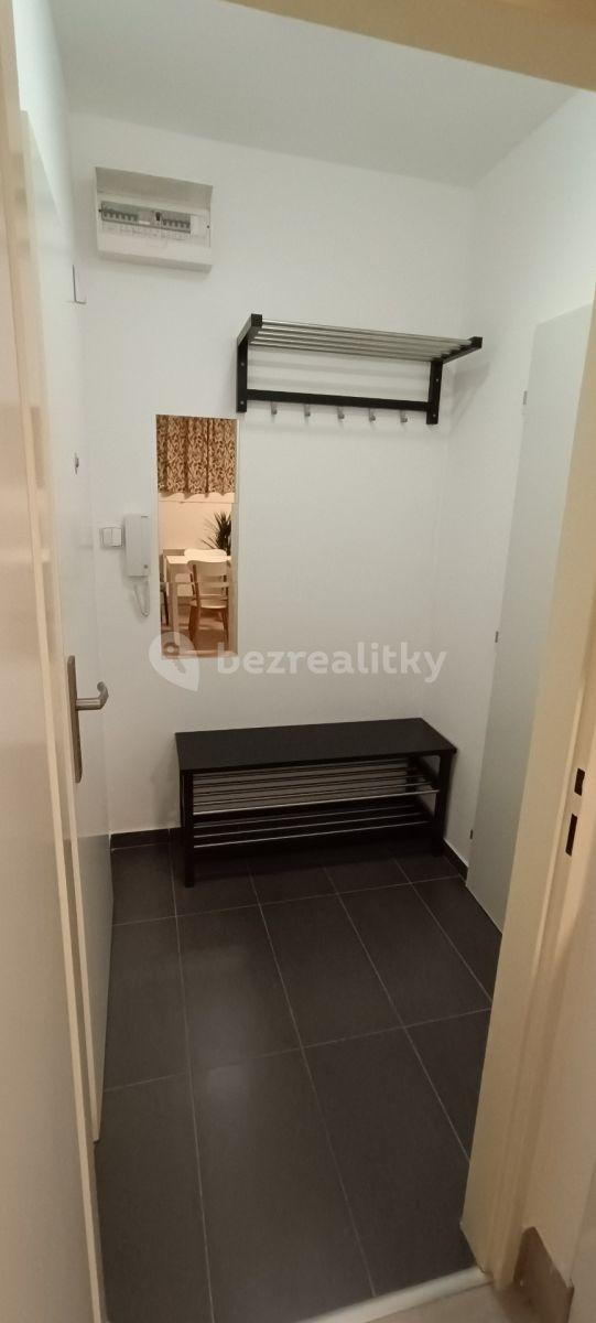 Studio flat to rent, 26 m², Pod Kynclovkou, Prague, Prague