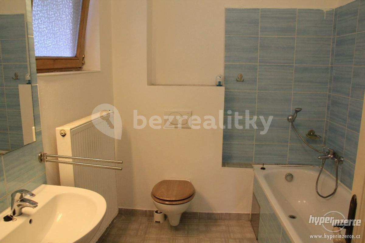 1 bedroom with open-plan kitchen flat to rent, 56 m², Trojanův mlýn, Prague, Prague