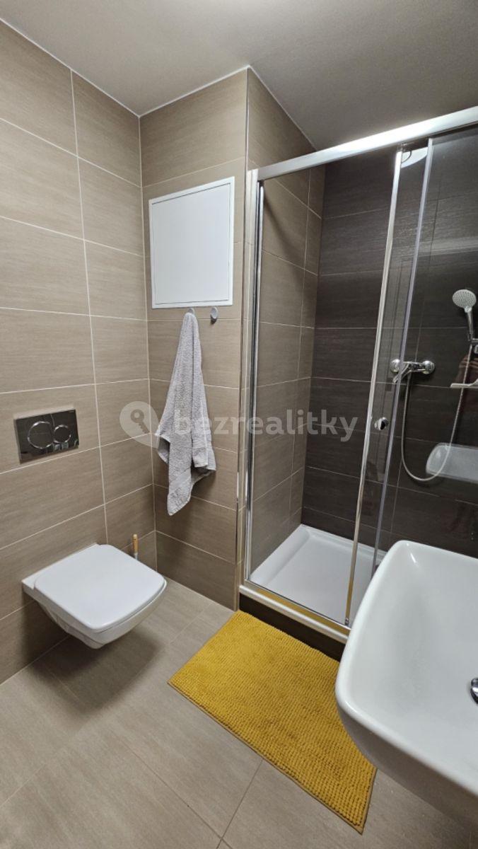 1 bedroom with open-plan kitchen flat to rent, 45 m², Bratranců Veverkových, Pardubice, Pardubický Region