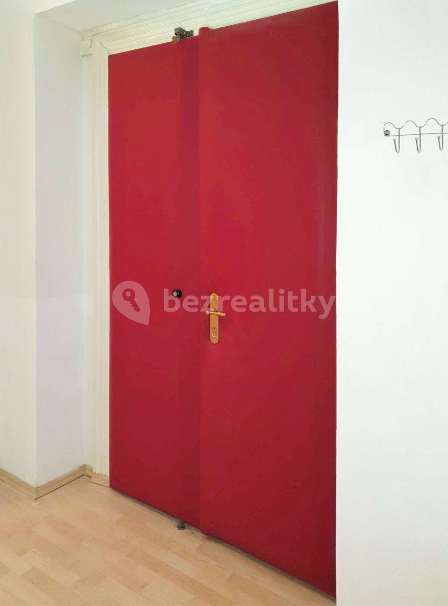 1 bedroom with open-plan kitchen flat to rent, 56 m², Slovenská, Prague, Prague