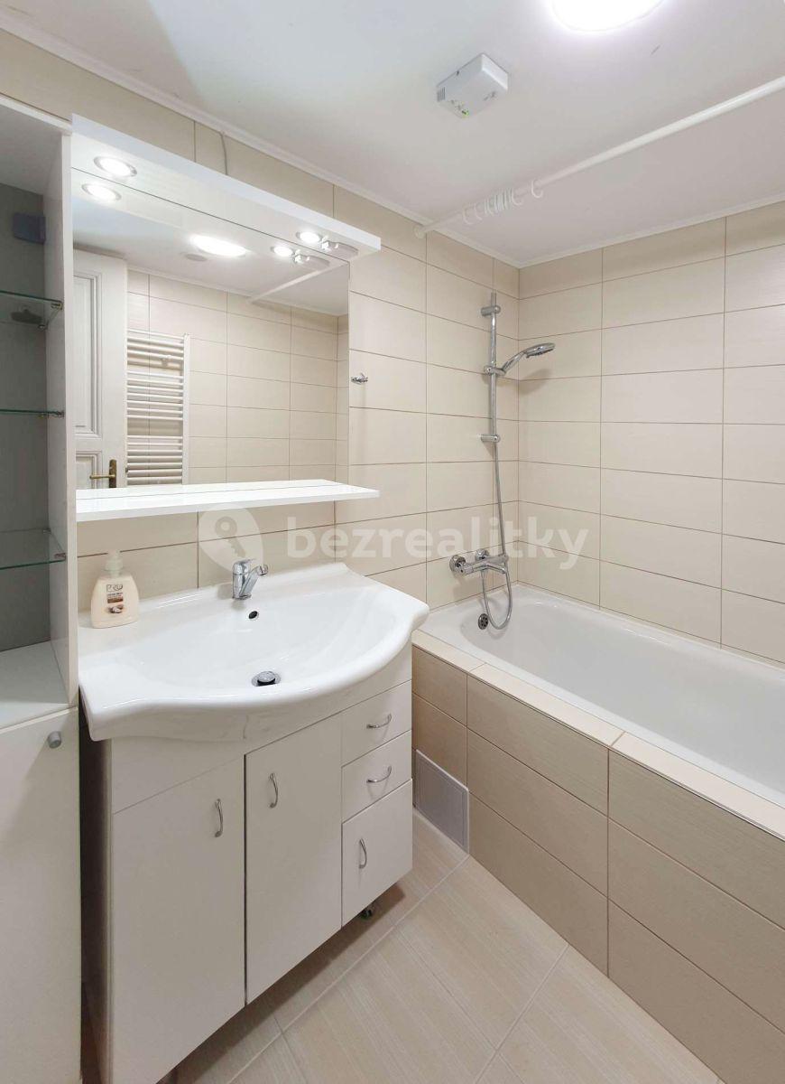 1 bedroom with open-plan kitchen flat to rent, 56 m², Slovenská, Prague, Prague