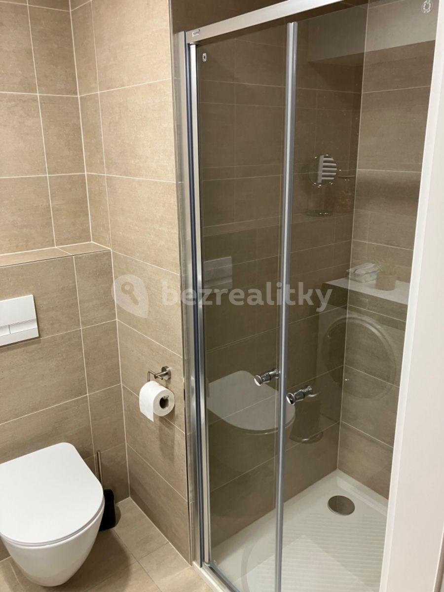 1 bedroom with open-plan kitchen flat to rent, 30 m², Plzeňská, Prague, Prague